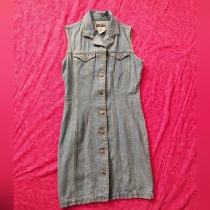 Vintage Denim Button Down Knee Length Dress